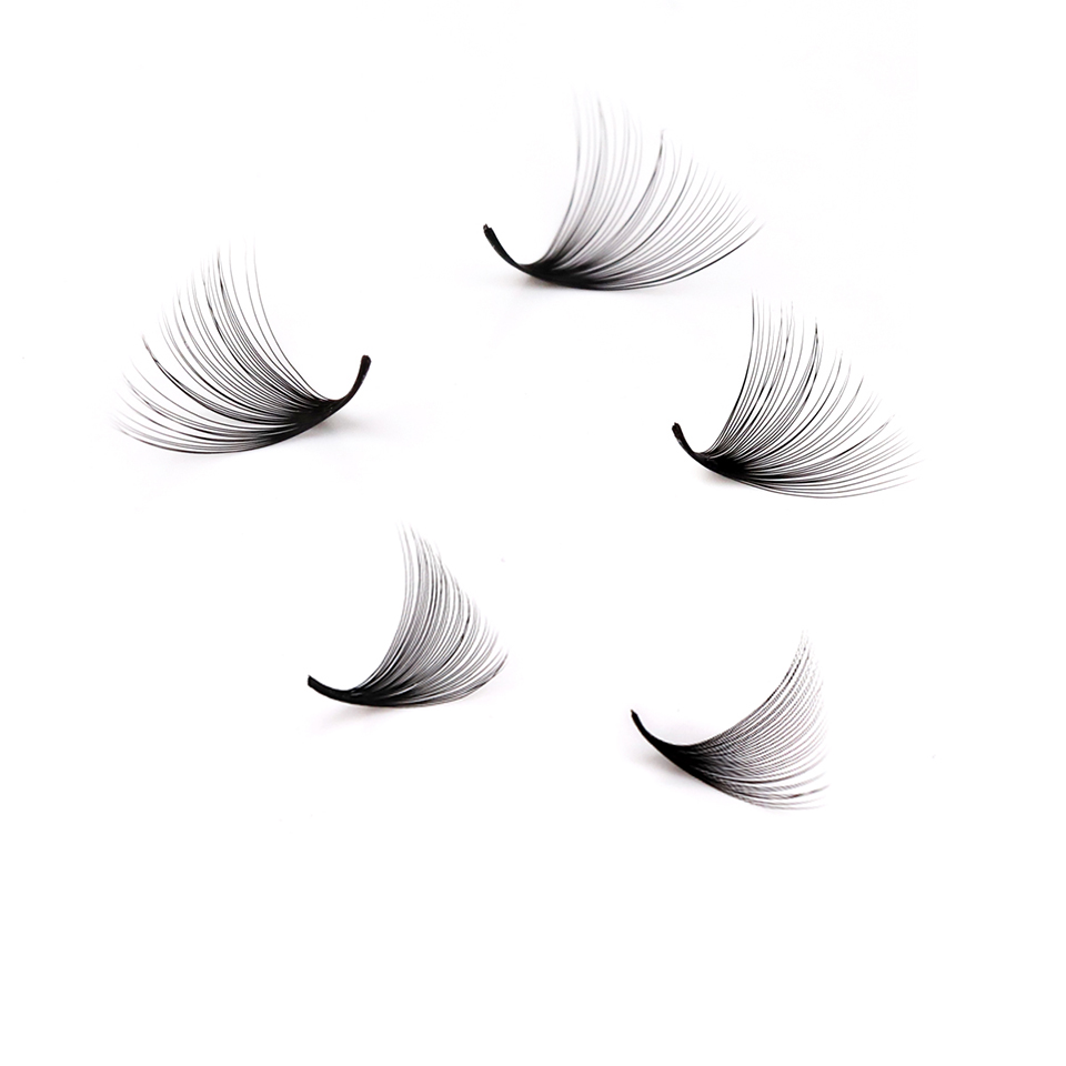 Lashprofessor XL Tray 3D 4D 5D - Eyelash Extension Russian avis et prix