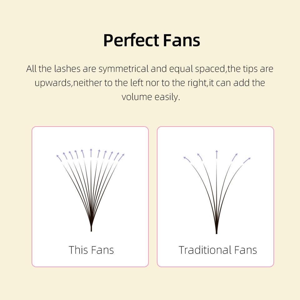 Lashprofessor XL Tray 3D 4D 5D - Eyelash Extension Russian avis et prix